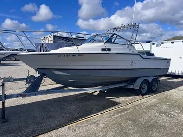 1994 Bayliner Trophy