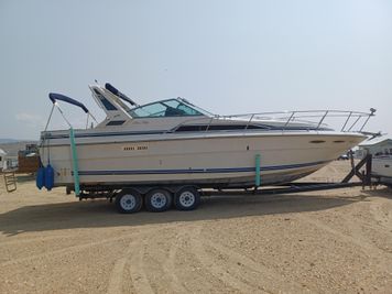 1988 Sea Ray 340 Sea Ray