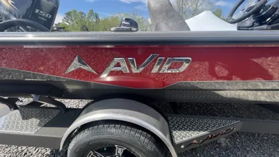 2023 Avid 19XB