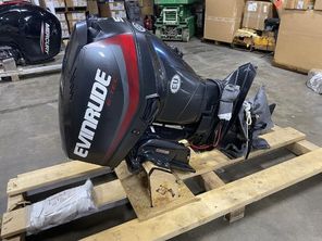 2019 Evinrude 50 HP