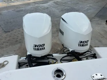 2019 Robalo R302