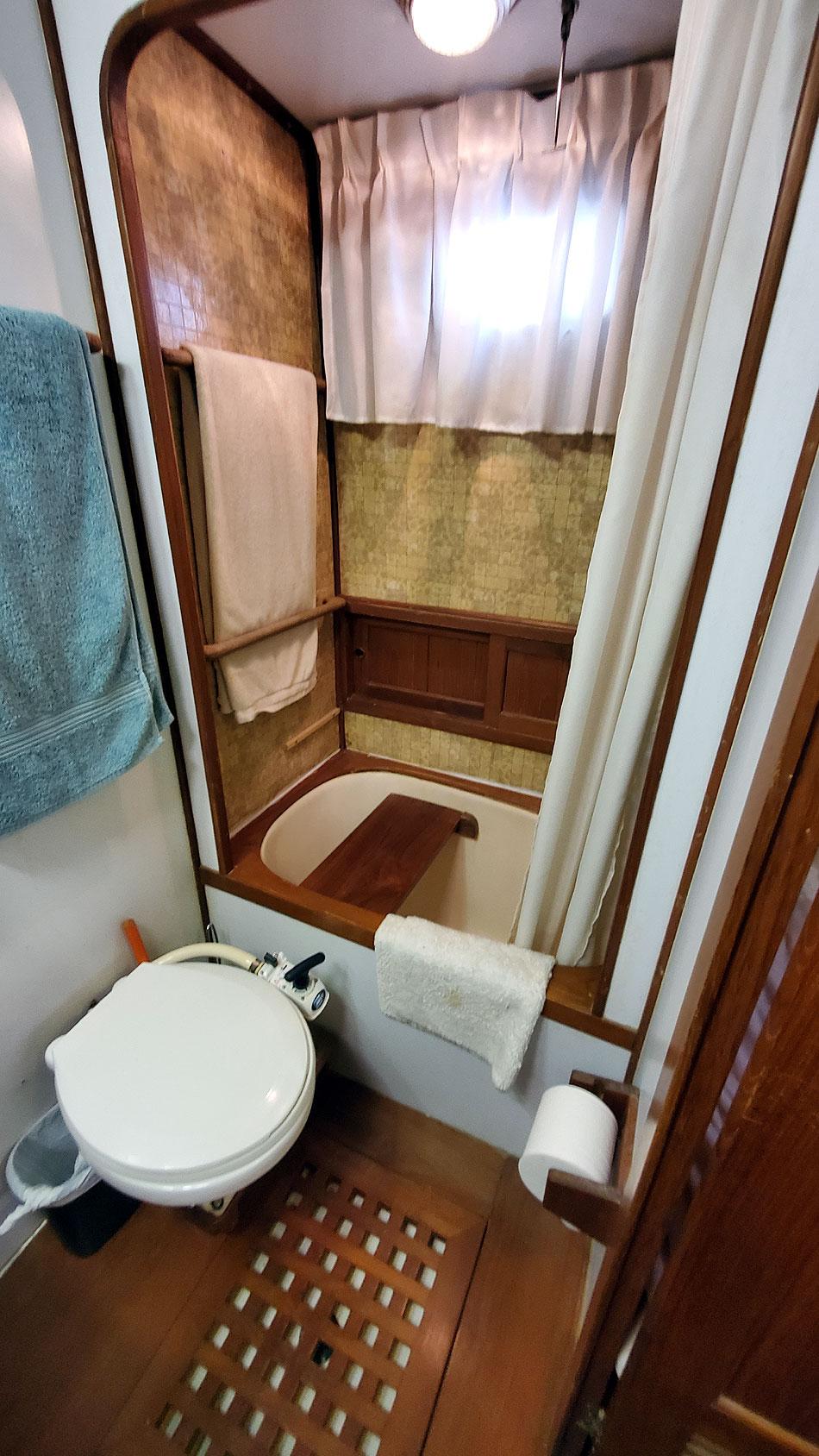Master Head Tub, Shower and Toilet