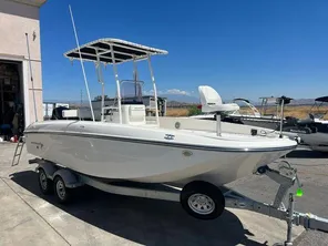 2020 Bayliner Element E21