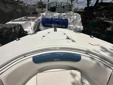 2017 Robalo R302 Center Console