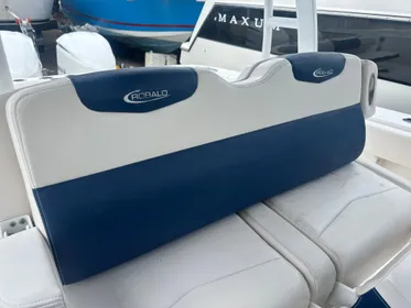 2017 Robalo R302 Center Console