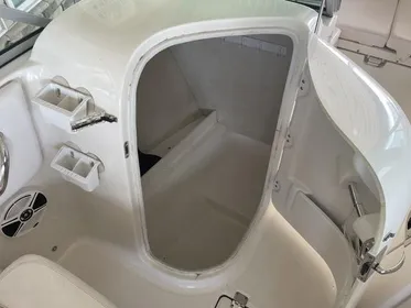 2020 Robalo R207